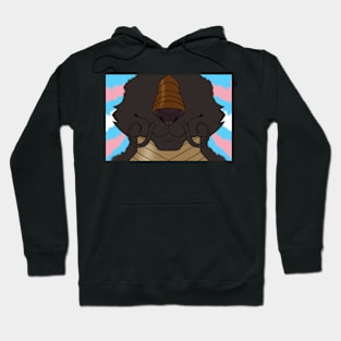 LGBT Pride Whisker Noodle Face Hoodie